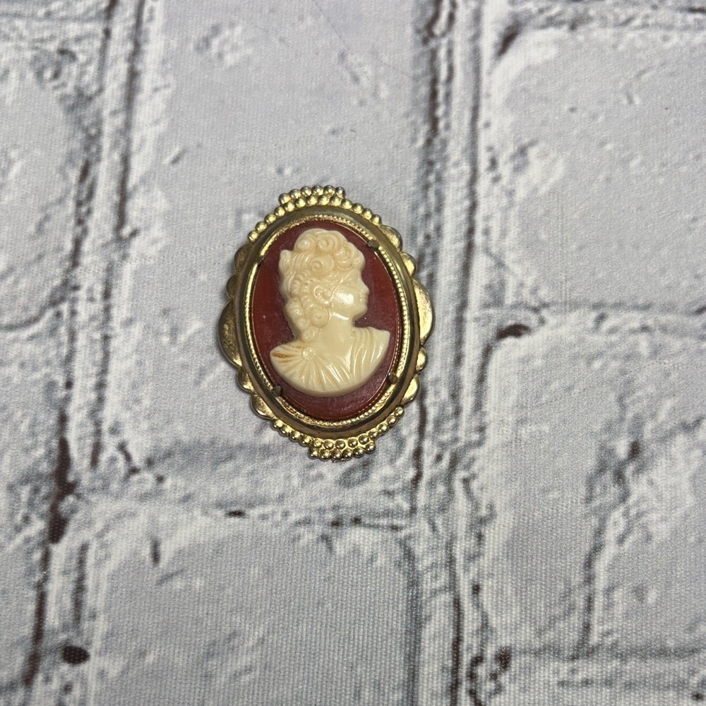 Vintage Faux Cameo Brooch with Gold Tone Accents